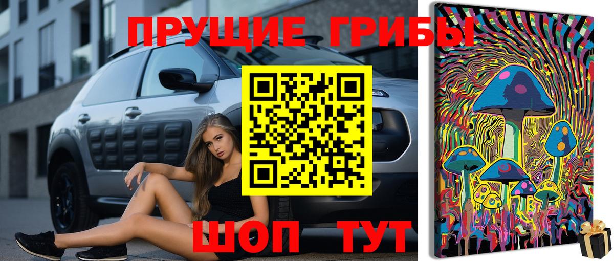 Псилоцибиновые грибы ЛСД  купить наркотик  Галлюциногенные грибы мицелий  Тверь  Вход с VPN 